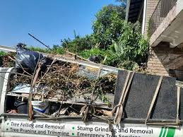 Best Property Management Cleanouts  in Hill City, KS