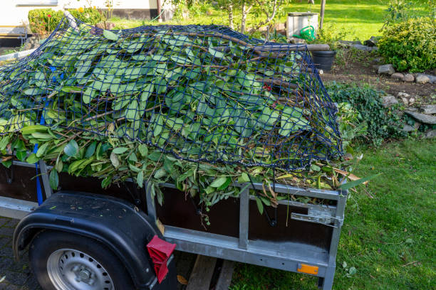Trusted Hill City, KS Junk Removal Services Experts